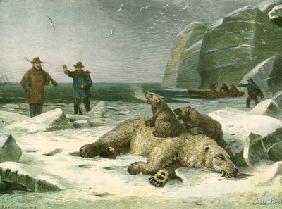 Oso polar muerto y cachorros de English School